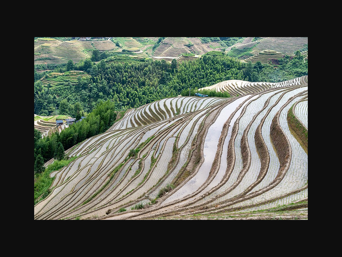 Longsheng rice terraces