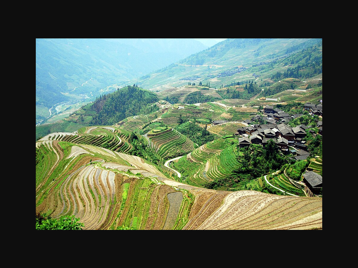 Paddy fields Longsheng