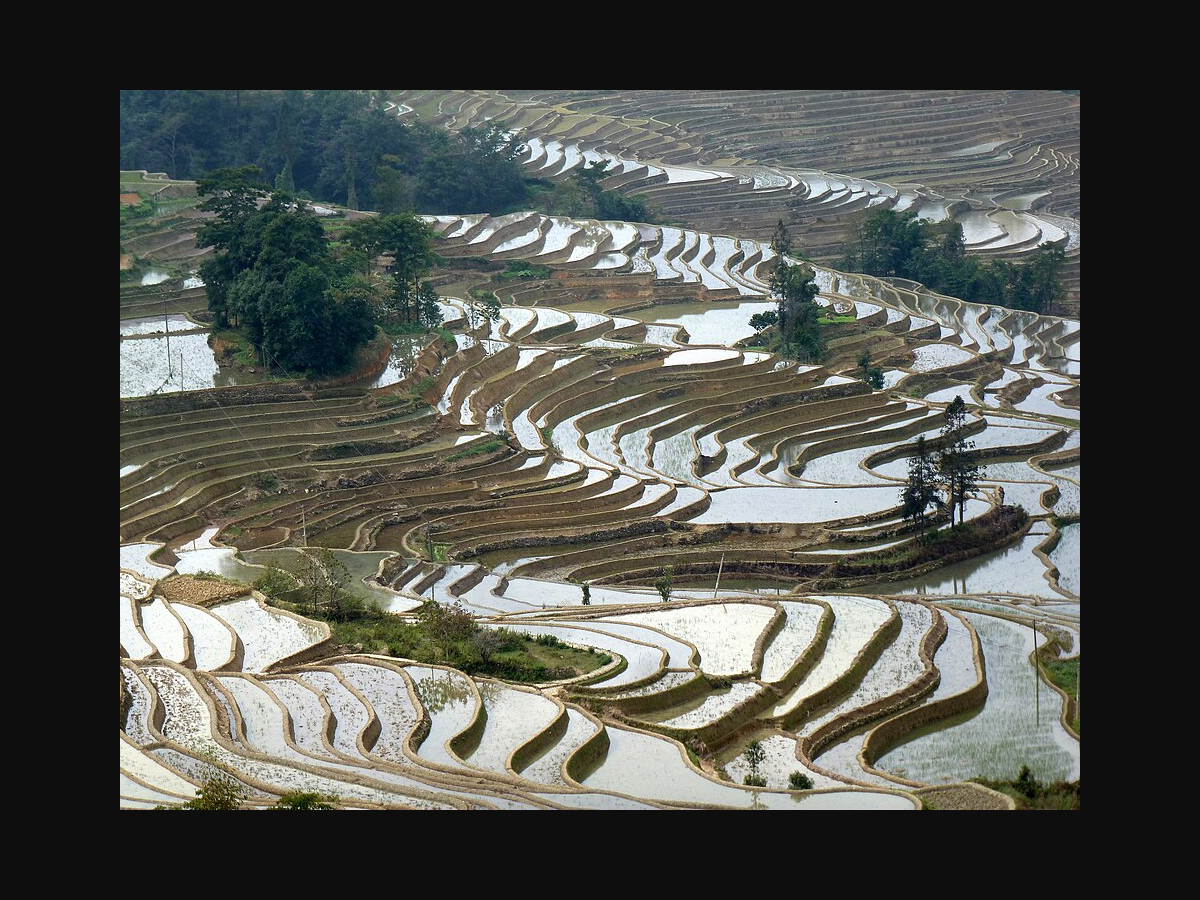 Yuanyang terraces, Yunnan