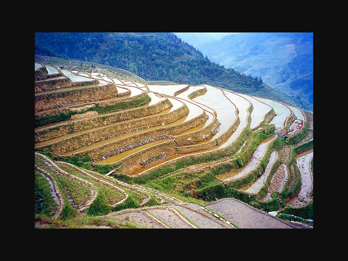 Longji Rice Terraces, Guangxi
